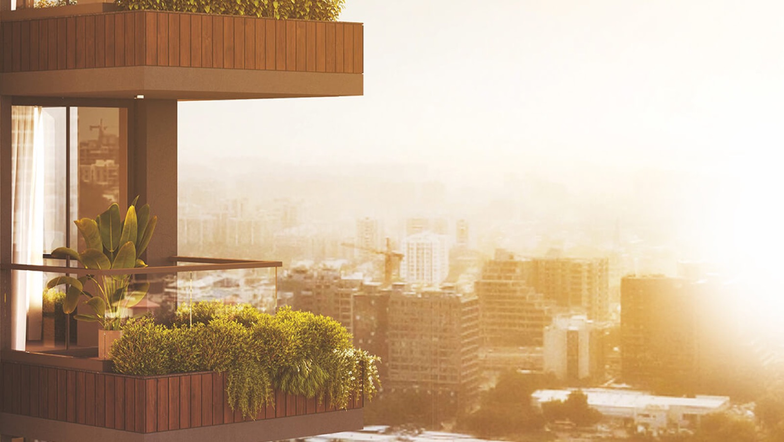 Aaron Elinor 51 — Science City Road, Ahmedabad, photo 8