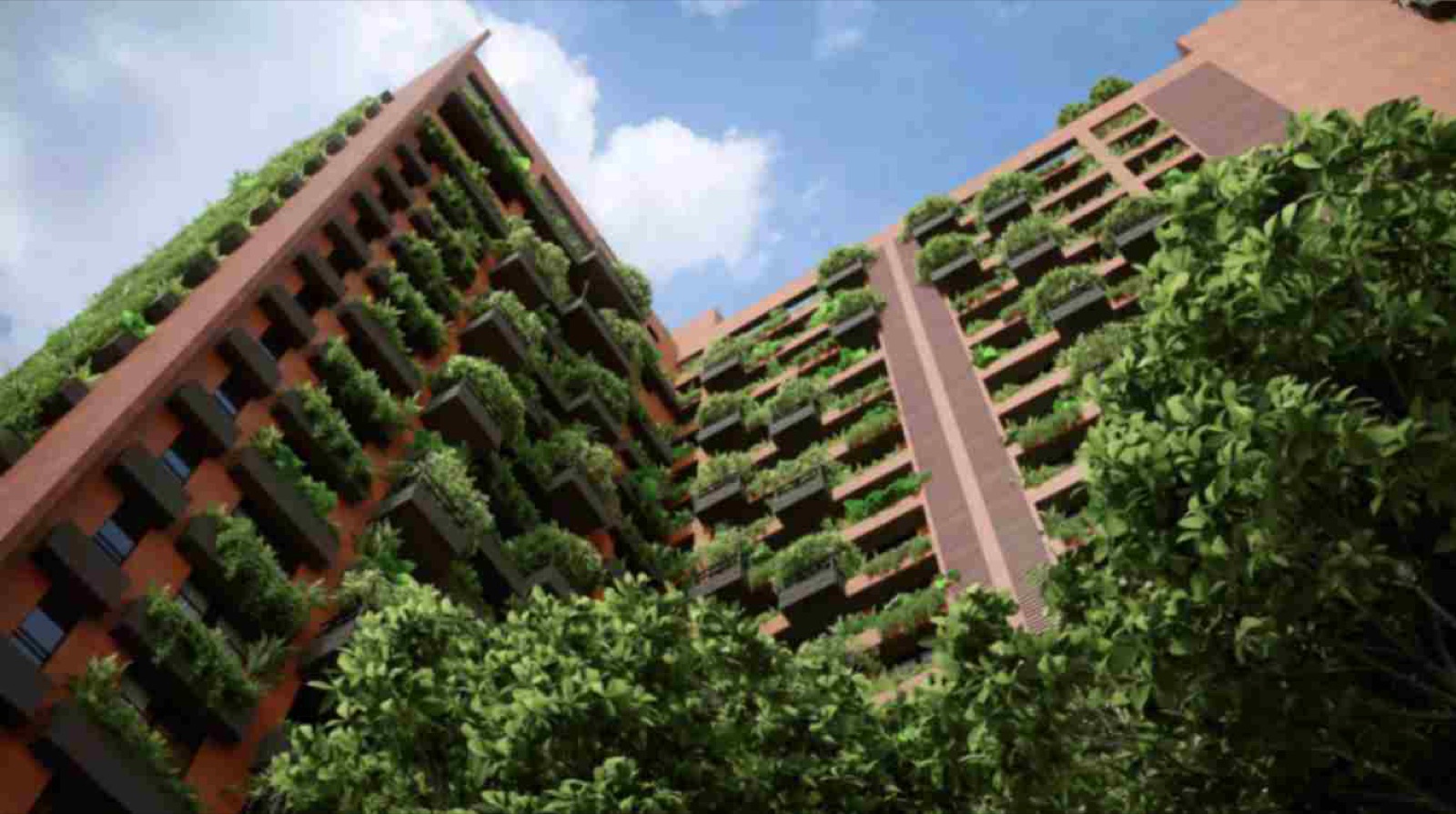 Ikebana by Gala — Residential in Sindhubhavan Marg, Ahmedabad